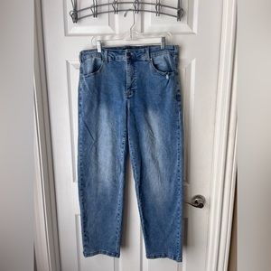 Shania High Rise Distressed Jeans Light Indigo (Size 14)